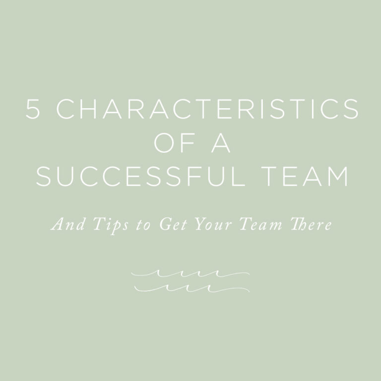 characteristics of a successful team