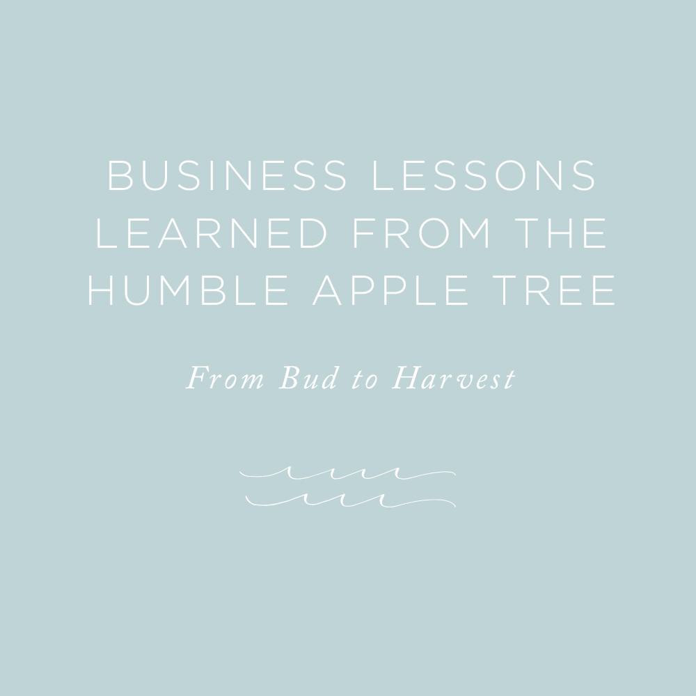 Business Lessons | via the Rising Tide Society