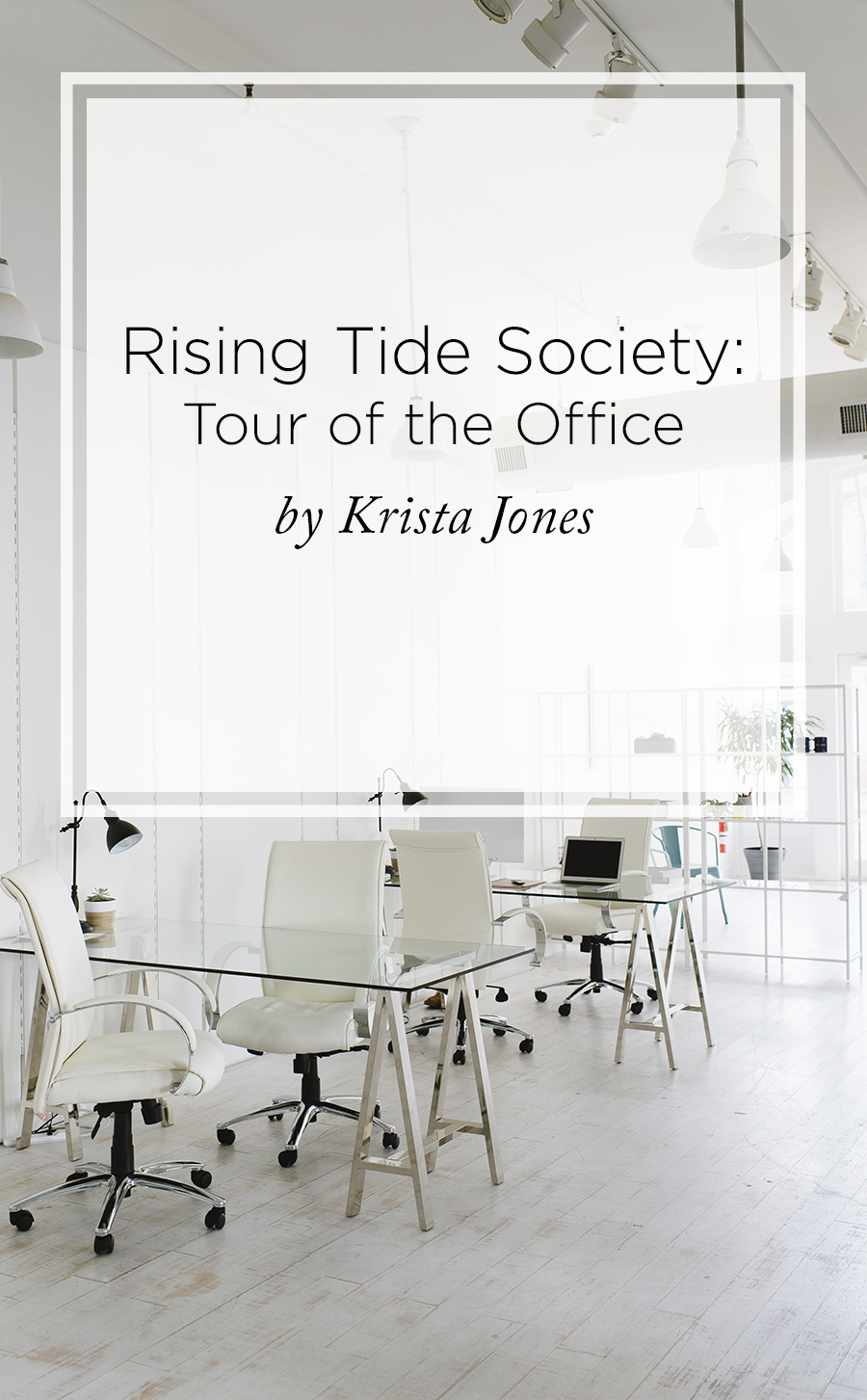 Rising Tide Society Reveals New Office