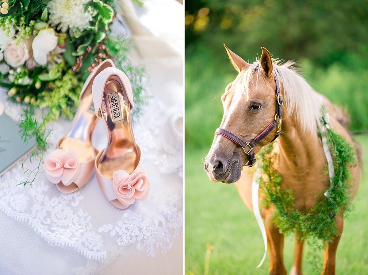 View More: https://brooketysonphotography.pass.us/equestrianstyledshoot