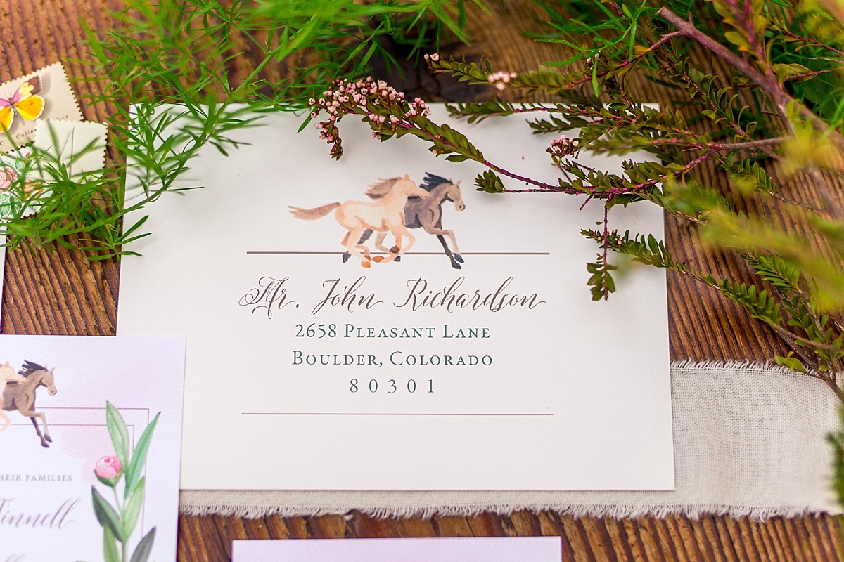 View More: http://brooketysonphotography.pass.us/equestrianstyledshoot