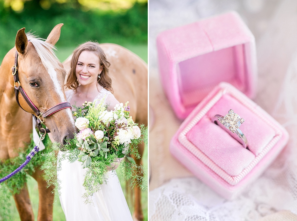 View More: https://brooketysonphotography.pass.us/equestrianstyledshoot