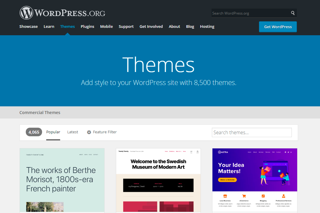 WordPress Themes