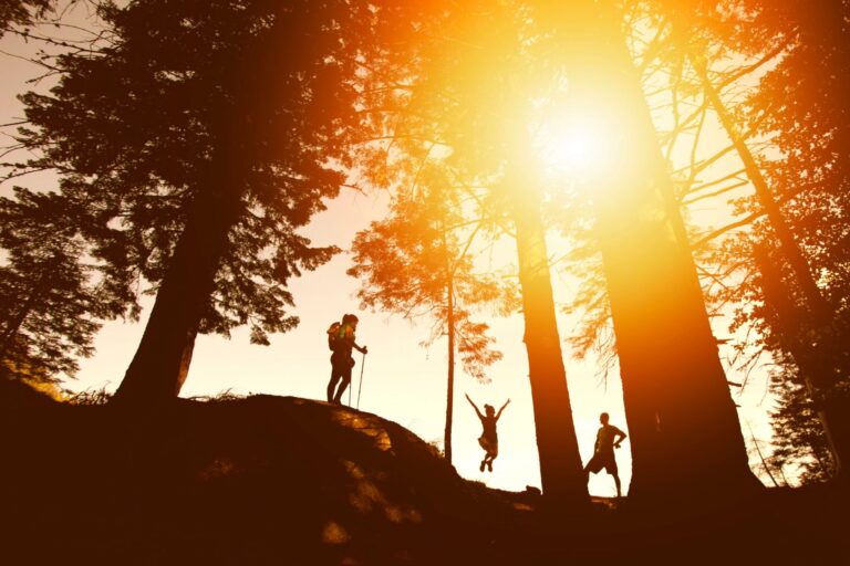 A backlit picture of three people hiking in the woods.