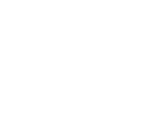 Animated gif of items being sorted into categories