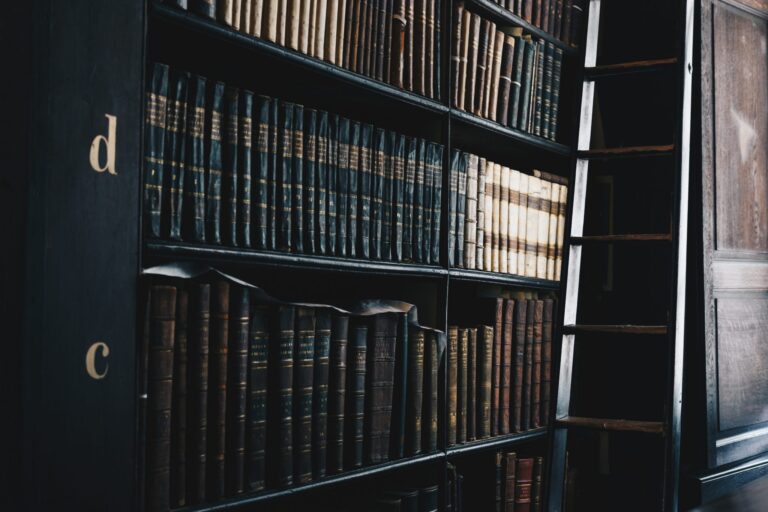 library bookshelf filled with books