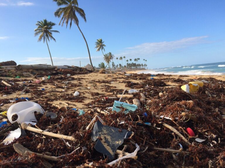 garbage washed up on a beach with palm trees in the background