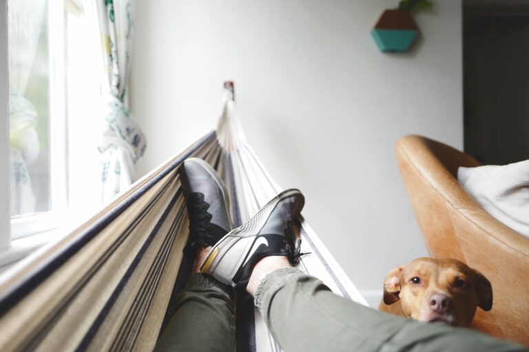 person relaxing in a hammock with their dog