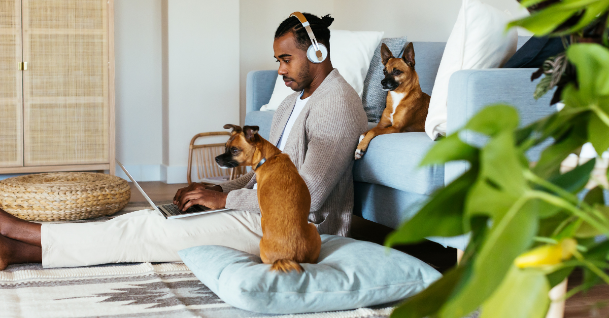 Man sitting on the floor in front of a couch with two dogs beside him. 