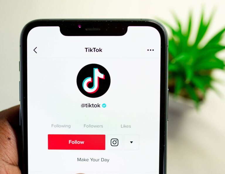 TikTok's homepage