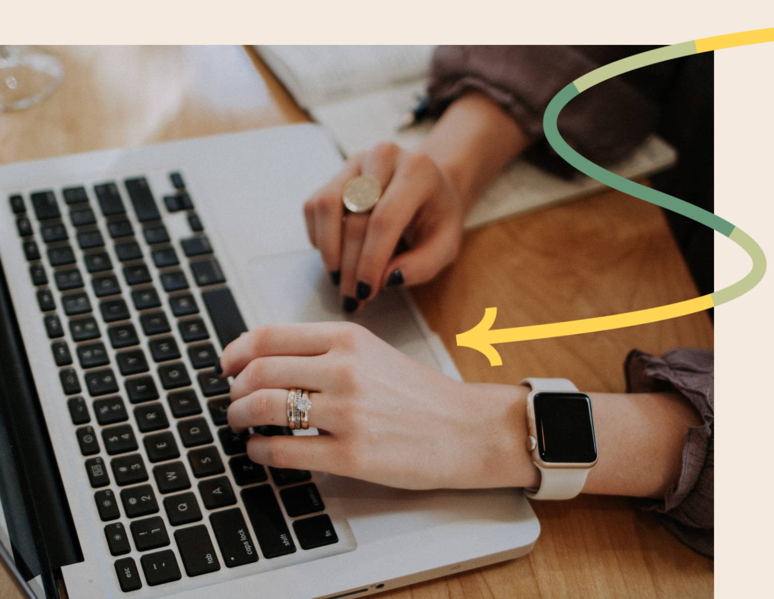 fix-email-sender-reputation-in-4-steps-honeybook