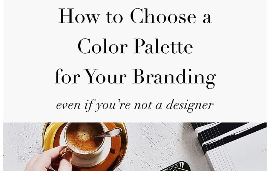 branding color palette