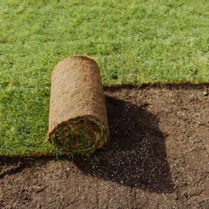 Turf beging rolled out Turf beging rolled out