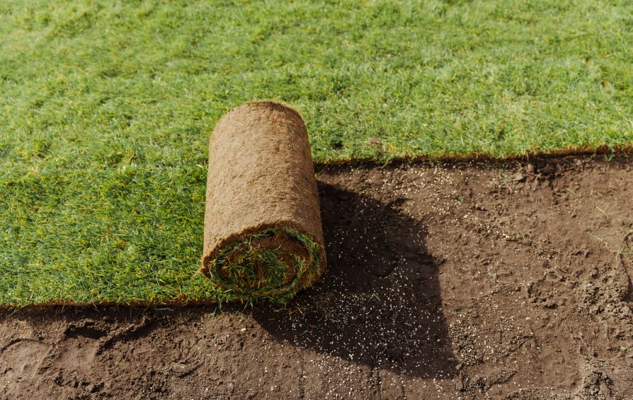 Turf beging rolled out