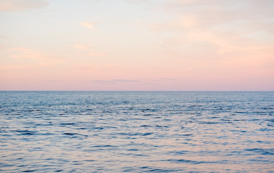 Build momentum in your business & you'll be making waves in no time!