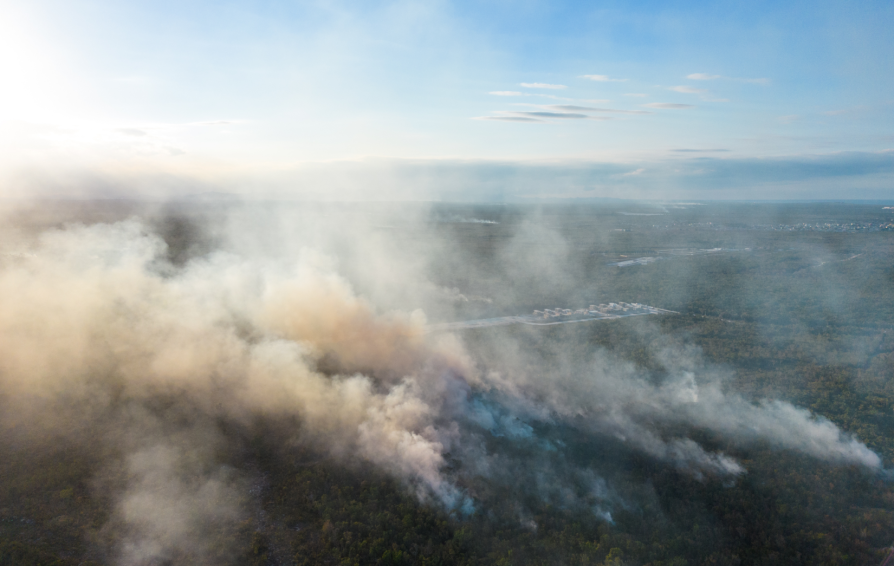 natural disaster response