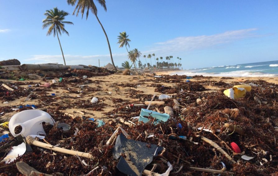 garbage washed up on a beach with palm trees in the background