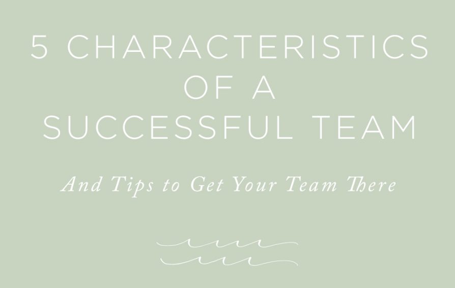 characteristics of a successful team