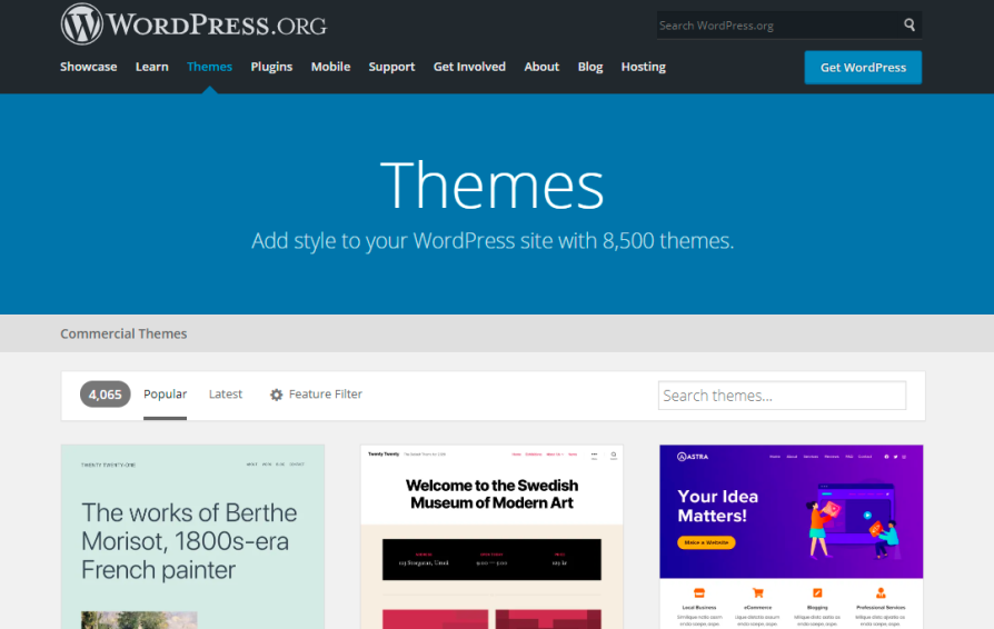website screenshot showing wordpress themes