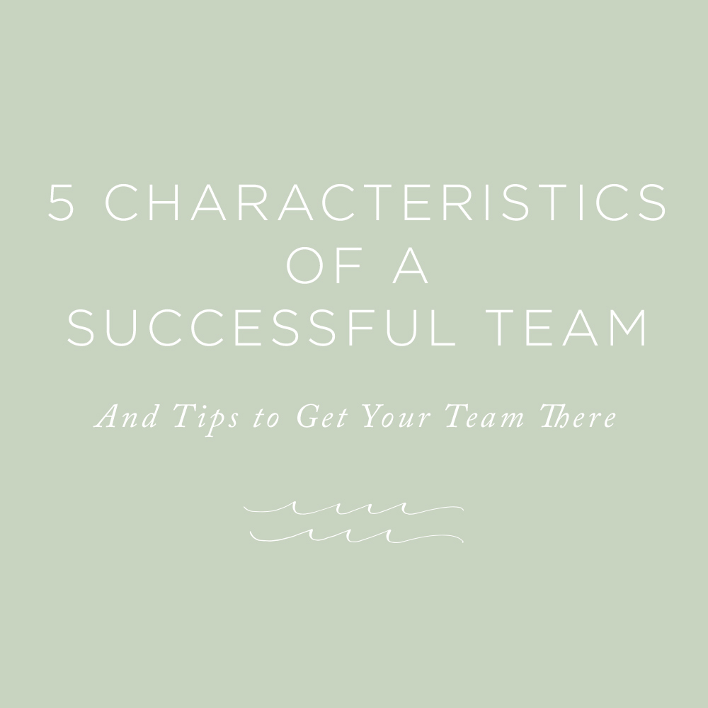 characteristics of a successful team