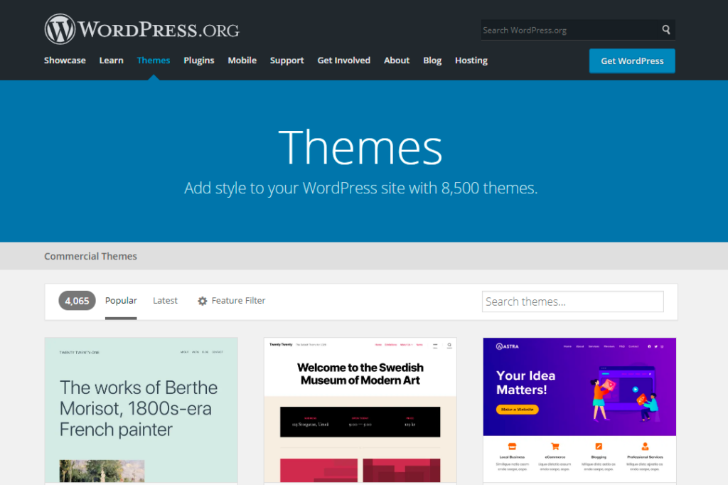 website screenshot showing wordpress themes