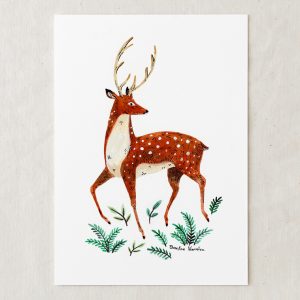 Click to view Wildship Studio